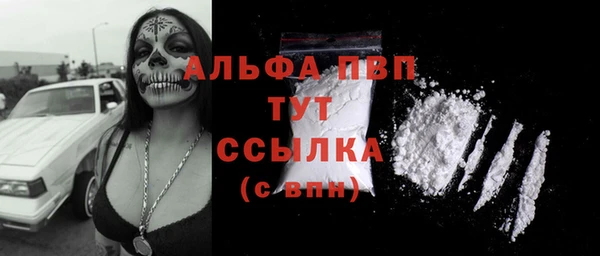PSILOCYBIN Богородицк