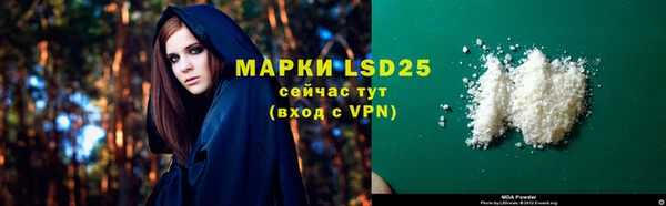 PSILOCYBIN Богородицк