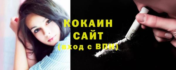 PSILOCYBIN Богородицк