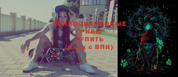 PSILOCYBIN Богородицк