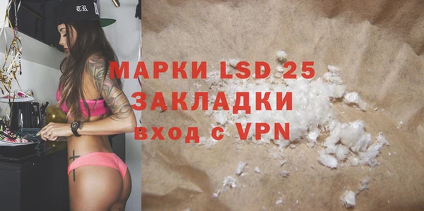 PSILOCYBIN Богородицк