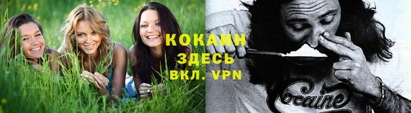 соль курить ск Богданович