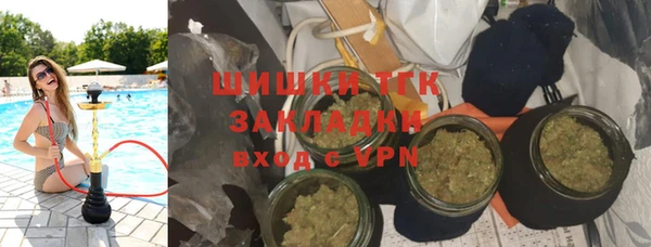 PSILOCYBIN Богородицк