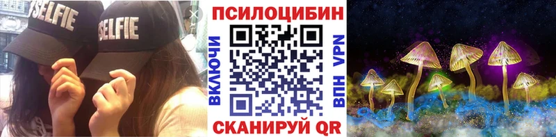Псилоцибиновые грибы Psilocybe  закладки  Гусев 